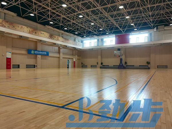 体育地板范新年 体育地板范新年
